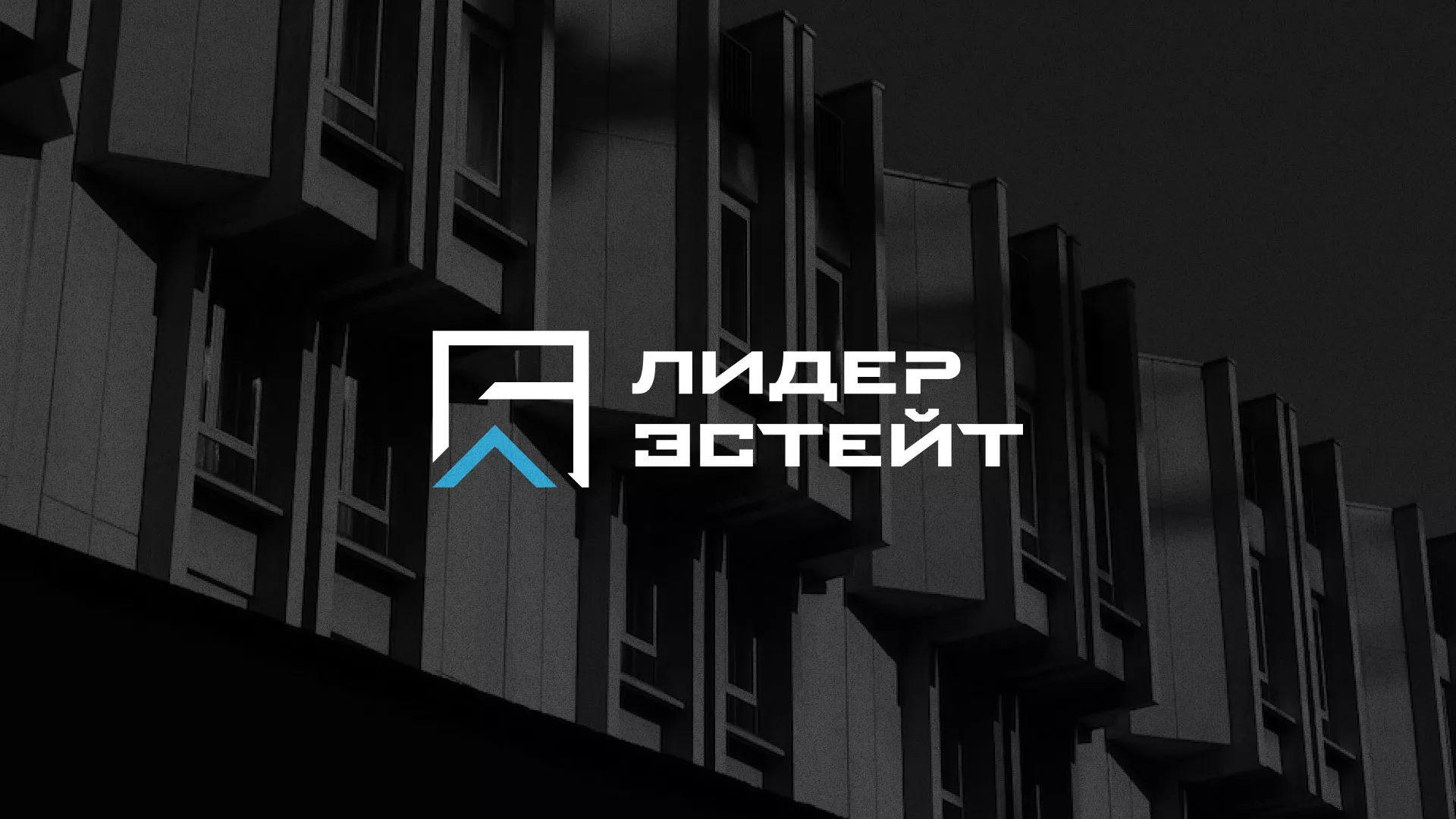 Разработка логотипа агентства недвижимости «Лидер Эстейт» в Белово